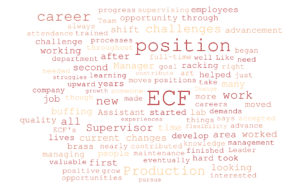 careers at ECF