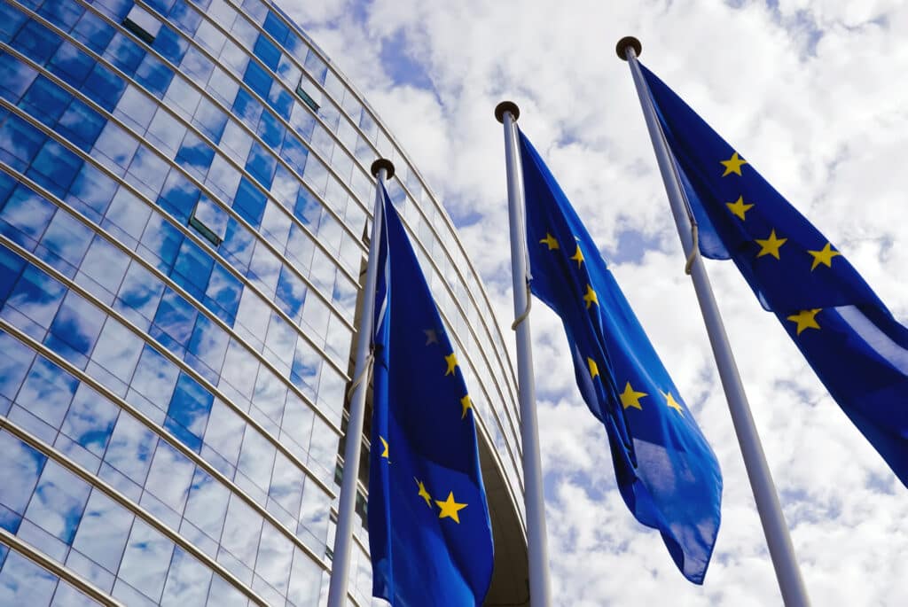 European Union flags